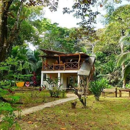 Green Corner Cahuita Kültér fotó