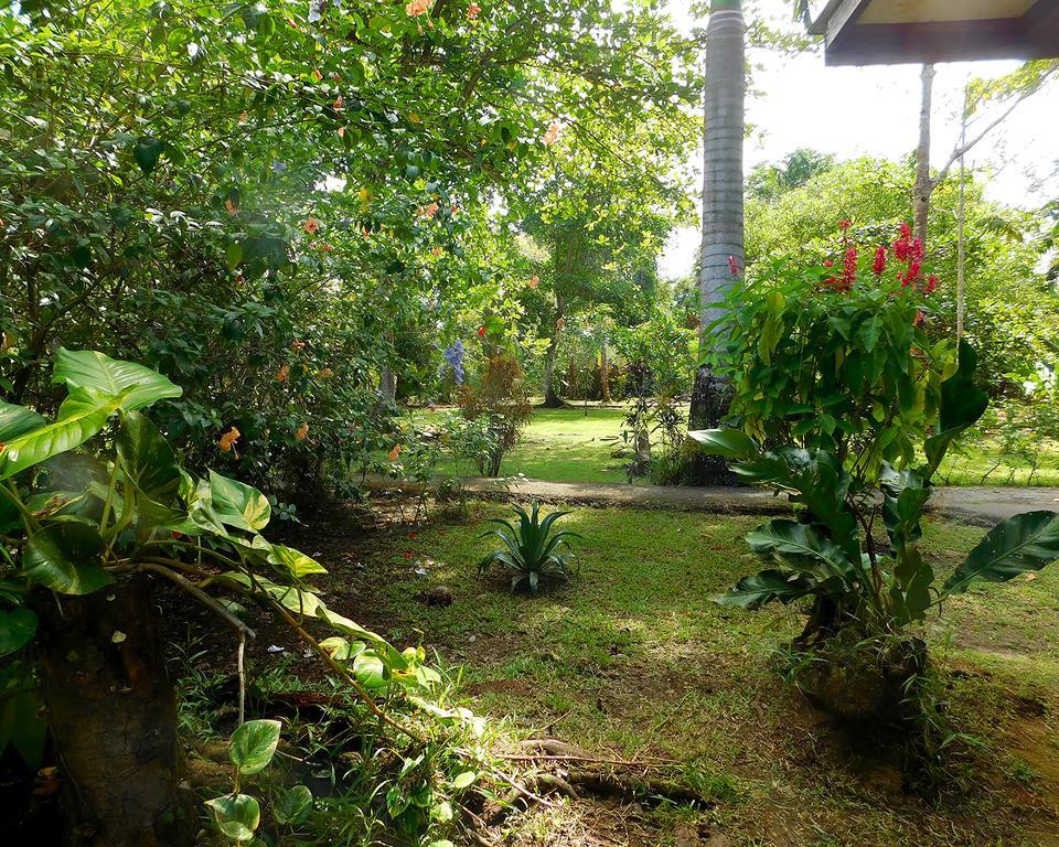 Green Corner Cahuita Kültér fotó