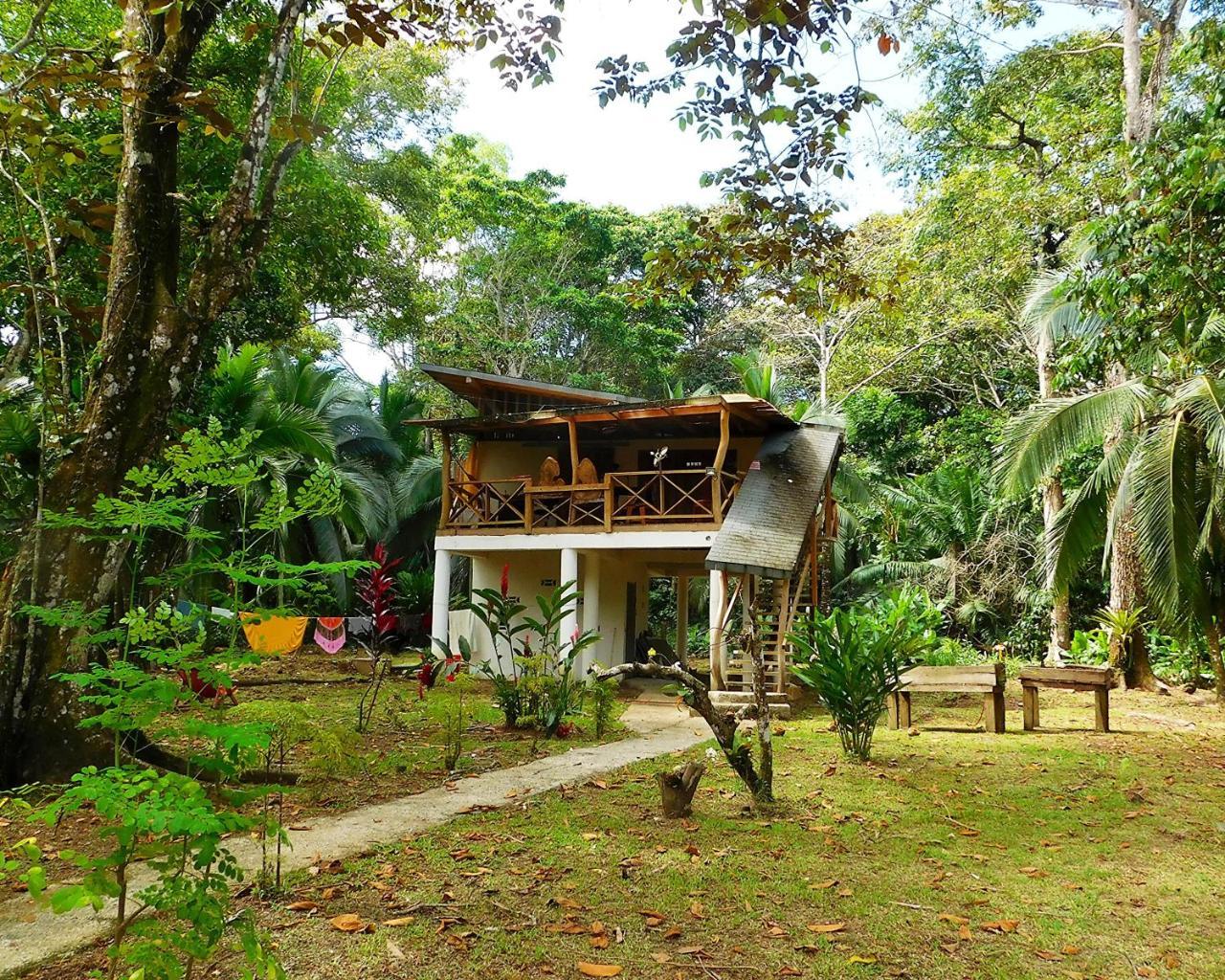 Green Corner Cahuita Kültér fotó